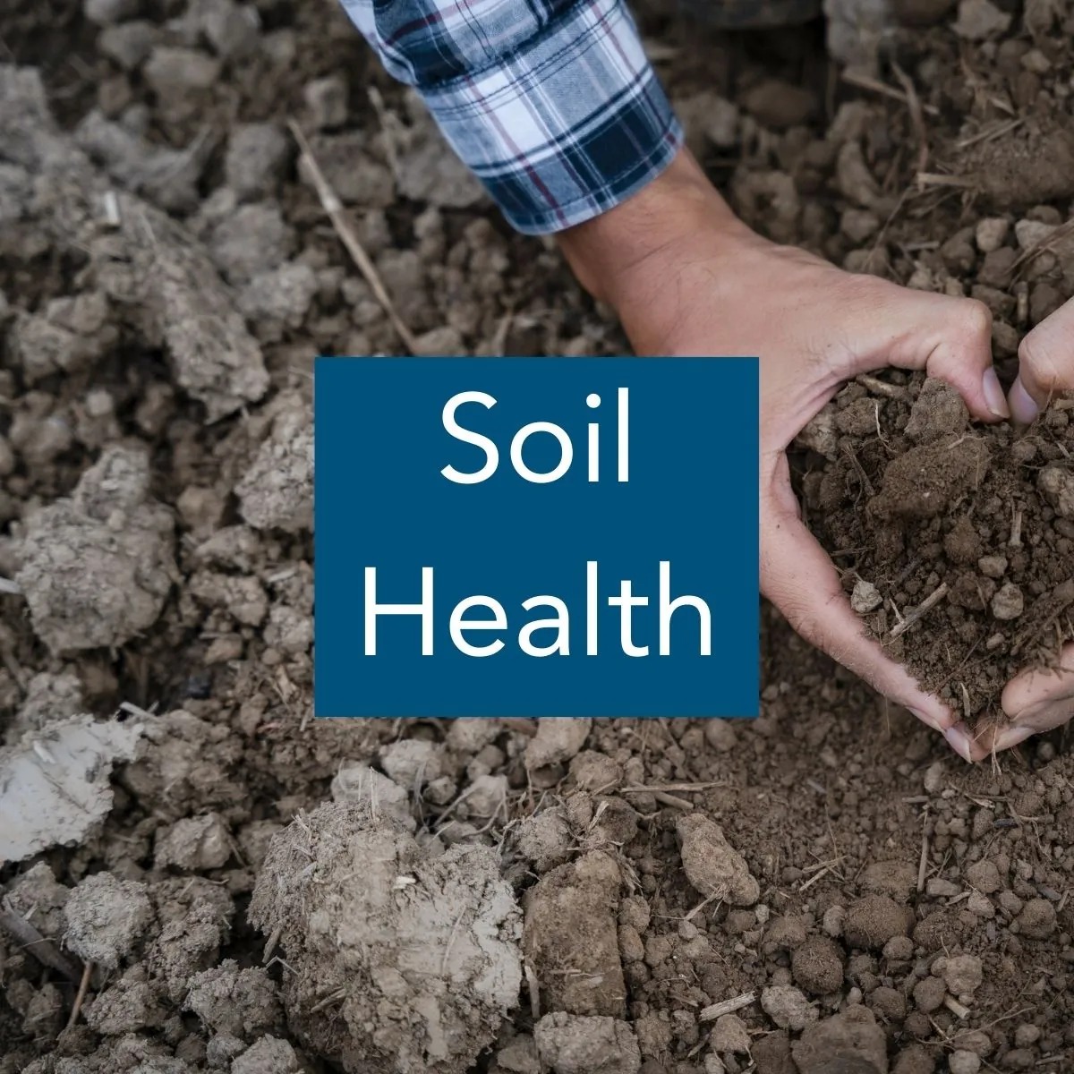 Soil Health Image of two hands scooping up soil from the ground, with the label "Soil Health"