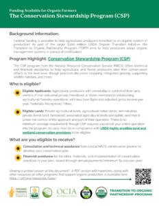 Front page of a CSP flyer