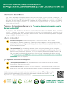 Información de CSP en español