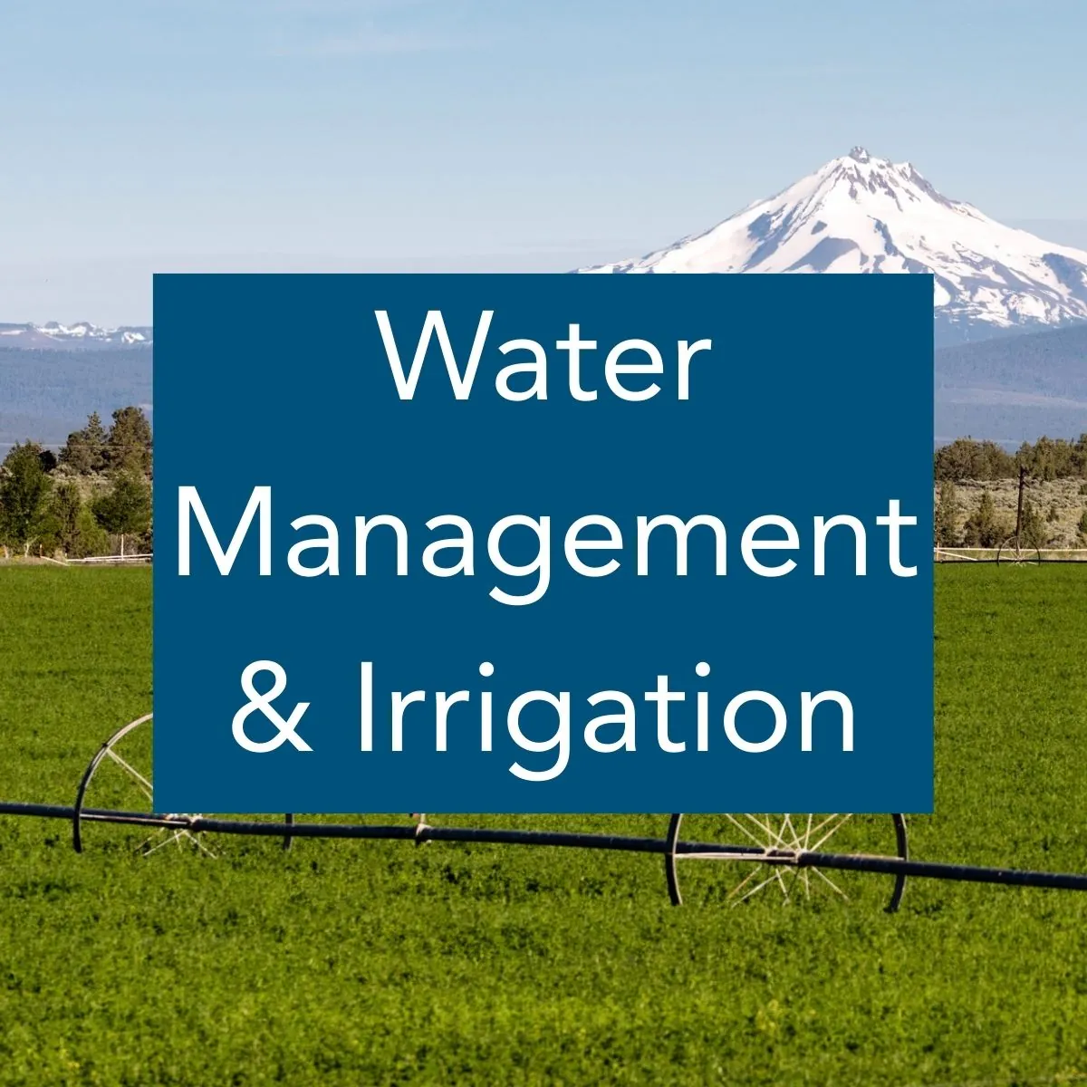 Water Management & Irrigation Image of a green field with a snow covered mountain in the background, and an irrigation roller line across it, with the label "Water Management and Irrigation"