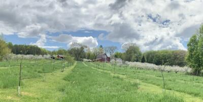 On-Farm Practices at North Star Organics