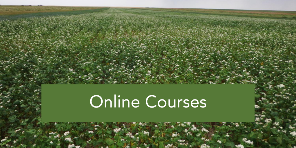"Online Courses" in white text in a green box overtop a photo of a field with small white flowers