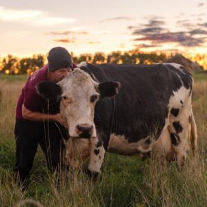A farmer poses in a field with a cow.
