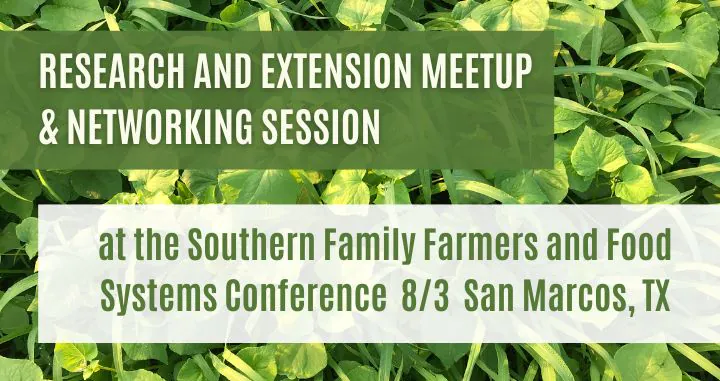 A cover crop of sorghum sudan grass and buckwheat with text over top that says "Research and Extension Meetup & Networking Session, 8/3, San Marcos, TX