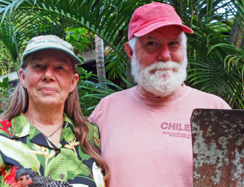 How One Kona Farm Made Federal Funding Work for Organic Agriculture