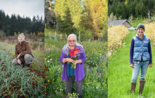 separate photos of three female farmers in the field (L to R: April Thatcher, Diane Greentree, Beth Hoinacki)