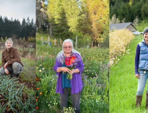 Think Like a Certifier, Lean on a Mentor: Support and Resources for the Organic Certification Journey