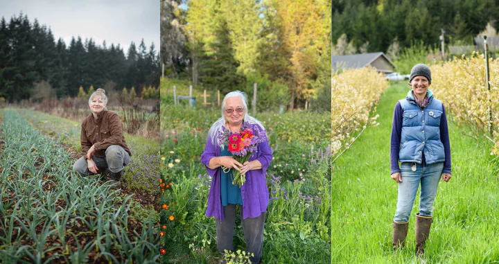 separate photos of three female farmers in the field (L to R: April Thatcher, Diane Greentree, Beth Hoinacki)