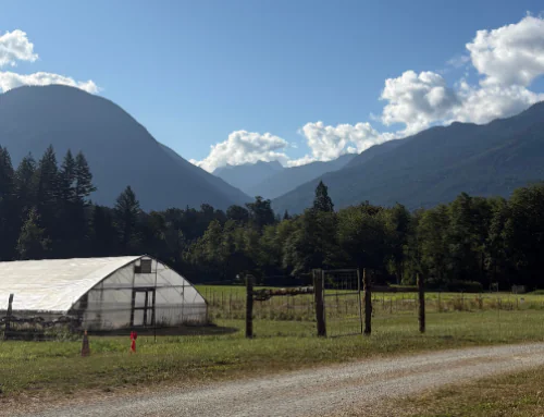 Growing Perennials in the Pacific Northwest: Rodale Institute’s Summer Field Day