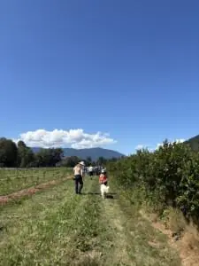 Field day participants walk the fields at Rodale's PNW Field Day.