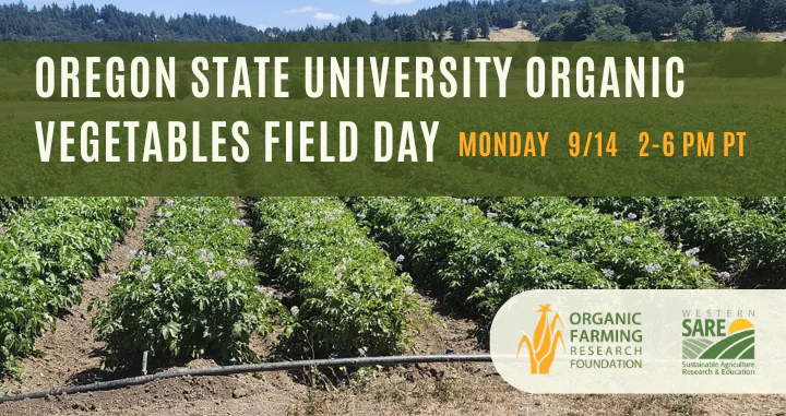 Photo of Oregon State University's organic farm.