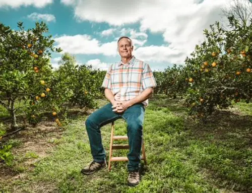 Using Synergy, Conservation Practices, and NRCS Support to Save Citrus with Uncle Matt’s Organic