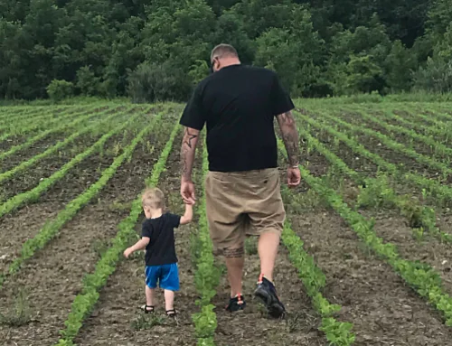 Building Organic Connections through the Transition to Organic Partnership Program (TOPP)