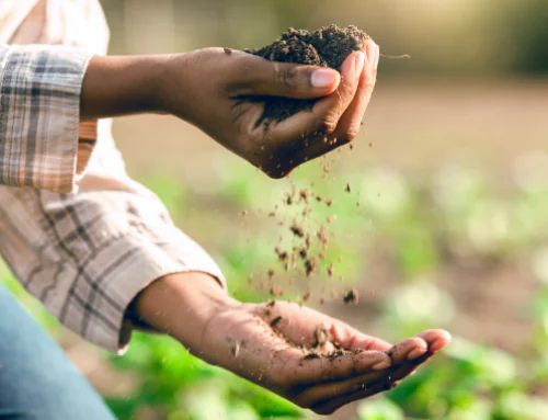 Building Organic Knowledge: OFRF’s Annual Research Report and Webinars for NRCS