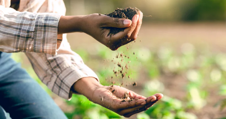 Hands shifting soil