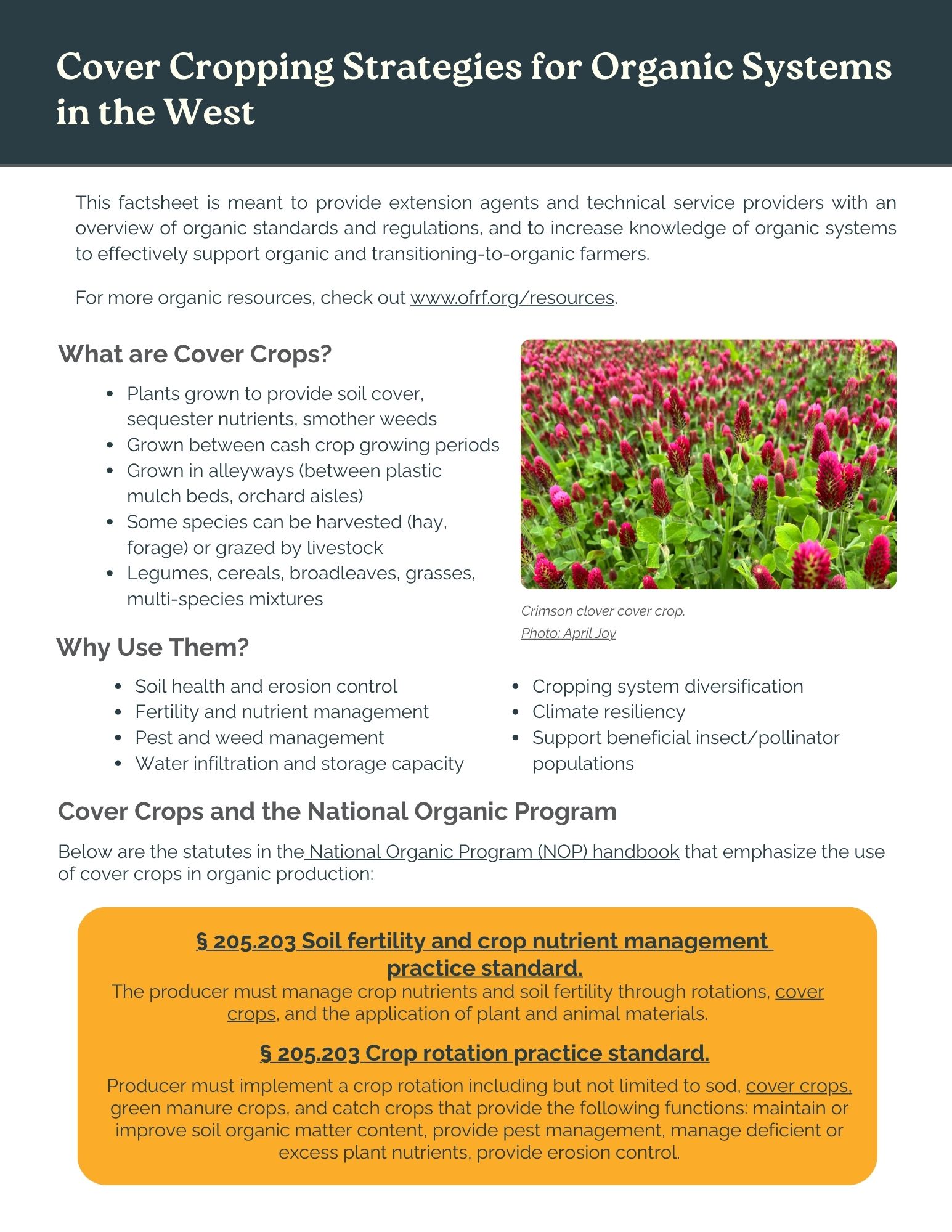 OFRF WSARE Cover Cropping Sept 2026 Digital EN_V1 cover image