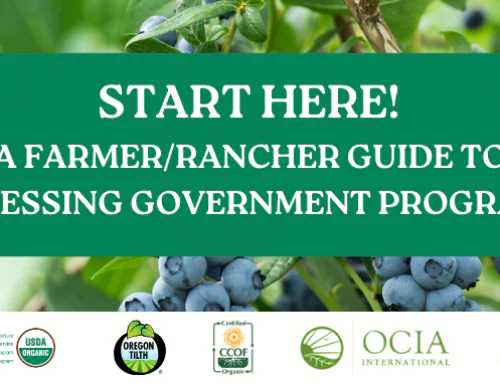 Start Here! An Organic Farmer/Rancher’s Guide to Government Programs