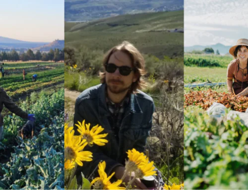 Beating Pests and Disease: What Northwest Farmers and Researchers Have Learned the Hard Way