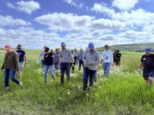 A groups of people walking around a farm under a blue sky with clouds.