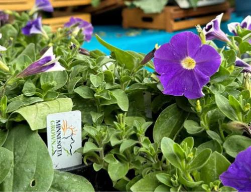 Looking Local: Opportunities for Organic in State-Level Policy