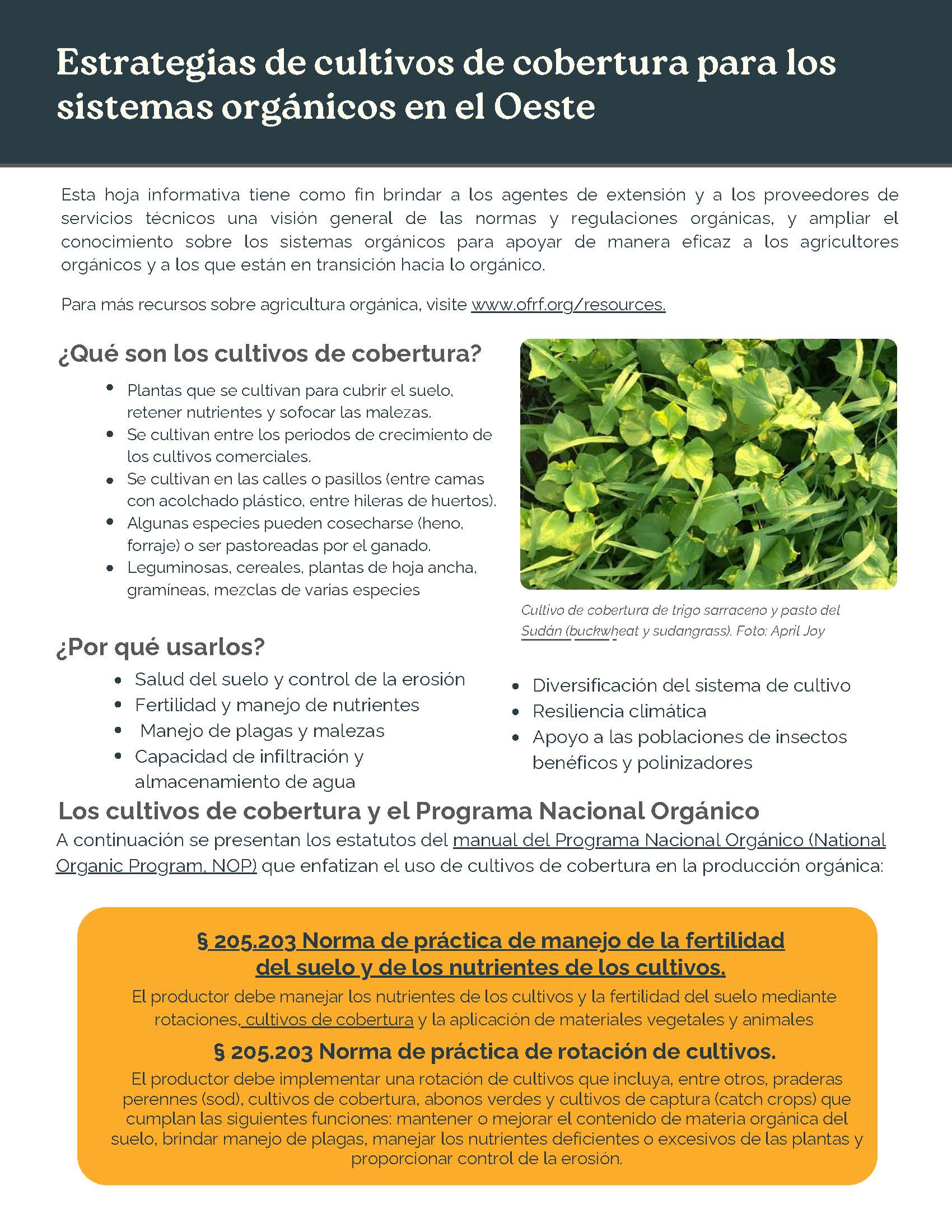 OFRF-WSARE-Cover-Cropping-Factsheet-cover-ES